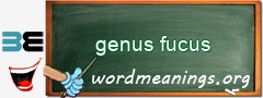 WordMeaning blackboard for genus fucus